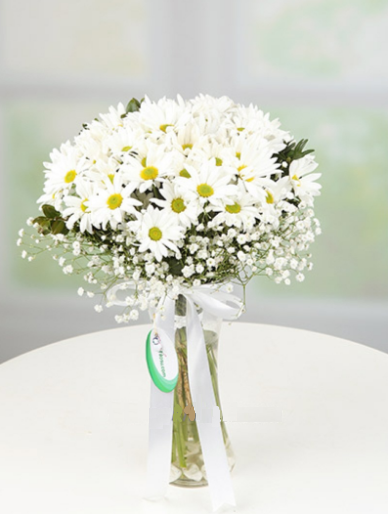 papatya-bahcesi-vazoda