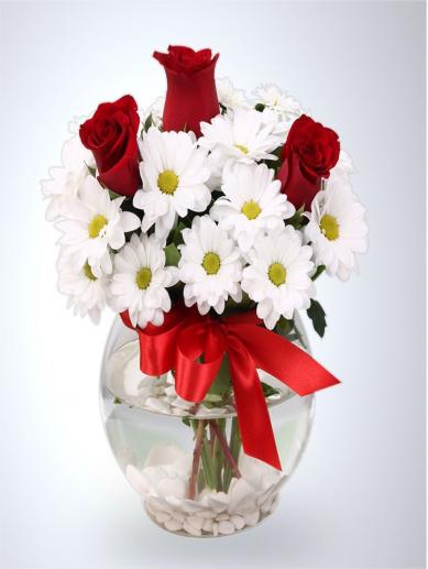 akvaryum-vazoda-papatya-ve-guller